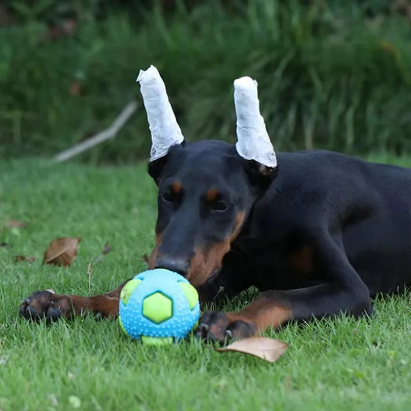 Interactive TPR Pet Toy Ball